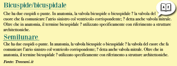 Bicuspide - semilunare