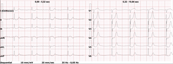 ecg-092024-1.jpg (56 KB)